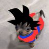 cuentastalker_56