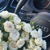 __miwsaqri_