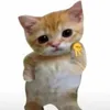 sakusacapitalista