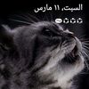 siraj.tanha1