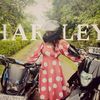 harley_q01