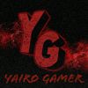 23_yair_66
