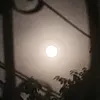zaharaabdelbagi98