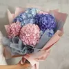dyoljcy1s4sw