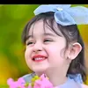 seemabch488