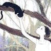 cat.cavkes