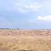 lakak2_b