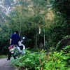 bnh.tnh.sng06