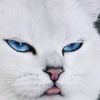 cintahatisayang4