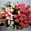 luanguyen_1966