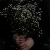 xindataimsa