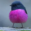 anetkikoliko