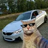 fytagivipka