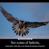 too.beunza