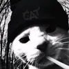tabbyz11
