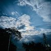 naturalview249