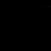ppp23135