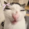 neelaa_nn