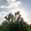 alialhsene3