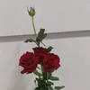 heocute5969
