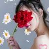 rosaocchi