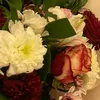 yassr_rezhiar14