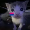p.piranya_