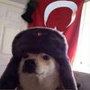 yagmur.pelvan