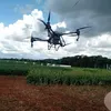 luii521