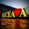 Suceveanul