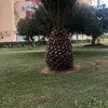 mulle_5