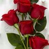 user94191088701247