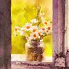 sunnyandclear