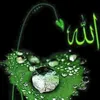 fdkhbcrebnyhtt313