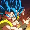 goku.987