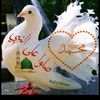 ahmed1hasan5