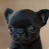batosai_batosai