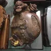 gachong.com