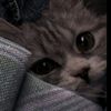 call_me_riko4.2