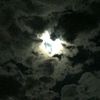 lulo_amargo