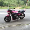 armadillo153