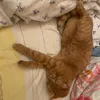 inez_614