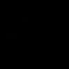 ireemvlx