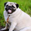 mops_hole