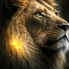 leone_su