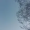 volantperimbresfulmina