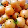 khurnaenkhurnaen