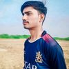 prince.dk377