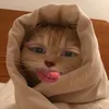 ntchocopie