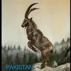 izharkhan2876
